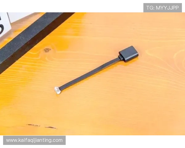 凯发电游app下载官方渠道,确保每一次游戏体验的安全与顺畅